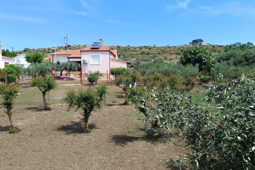 Photo of Others in Avdira