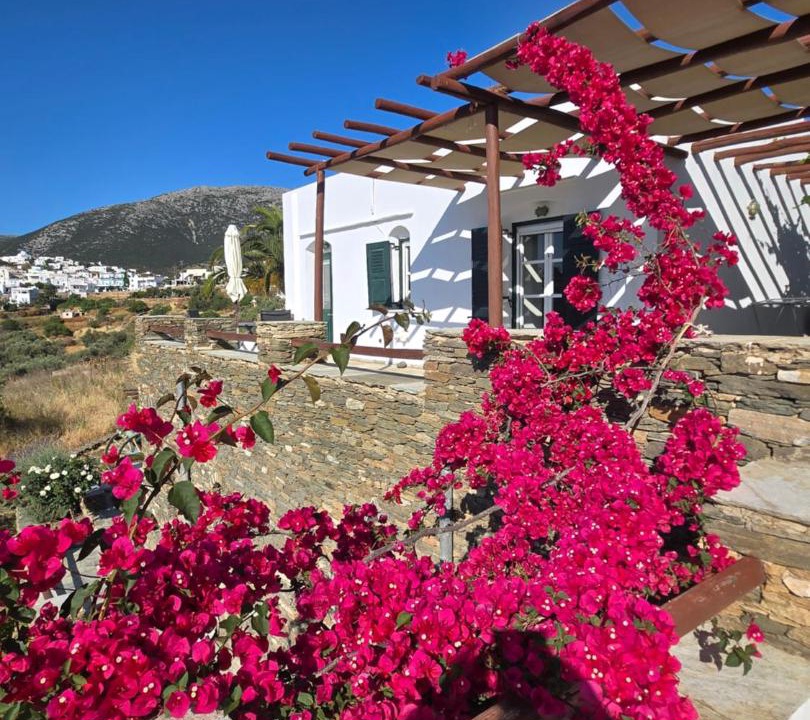 Photo of Others in Apollonia