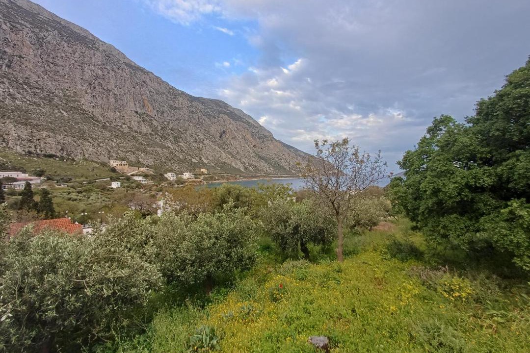 Photo of Others in Kalymnos
