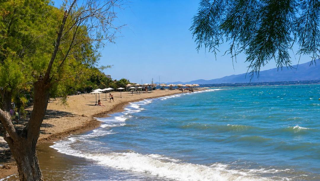 Photo of Others in Eretria
