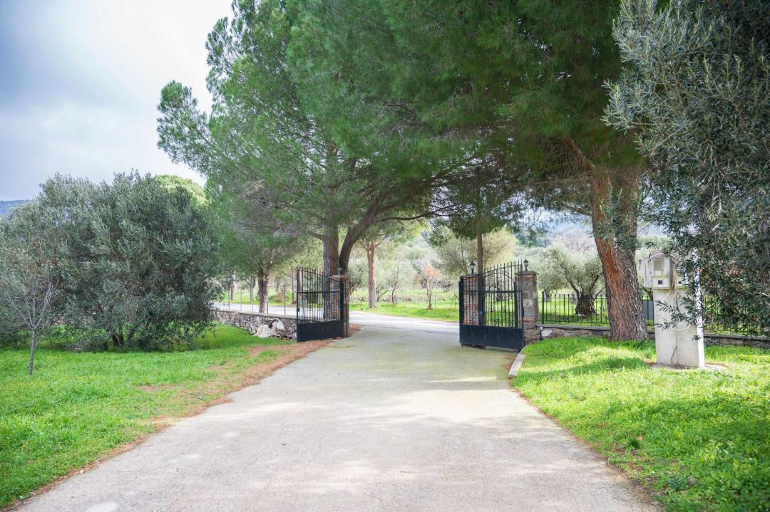 Photo of Others in Vatoussa