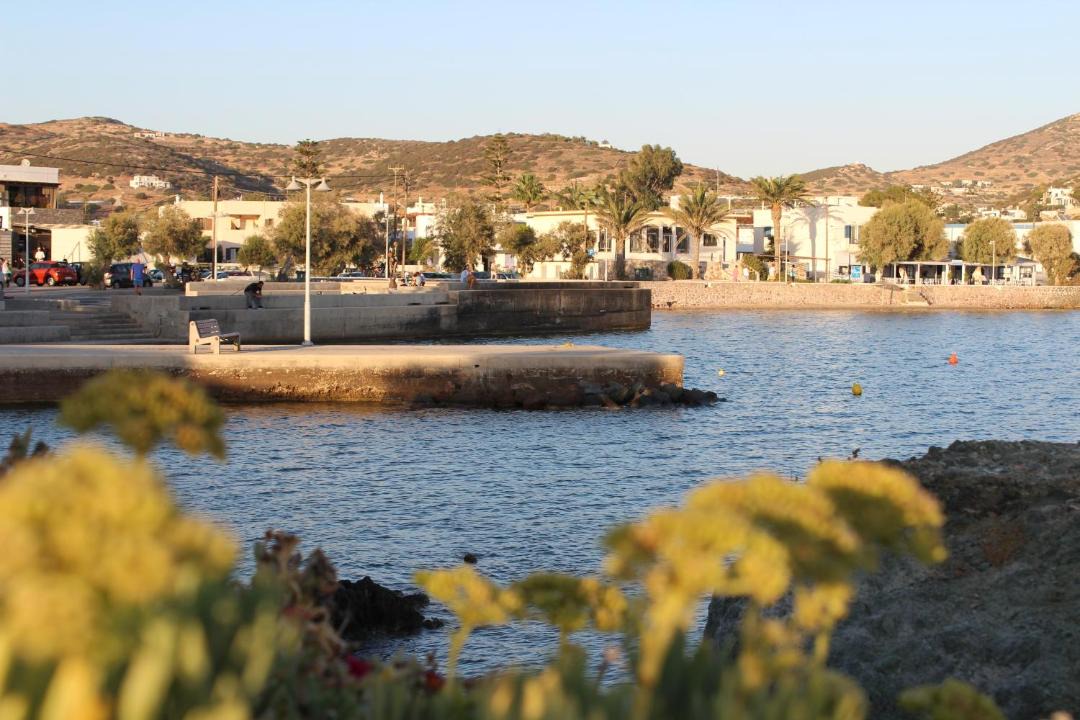 Photo of Others in Vissa