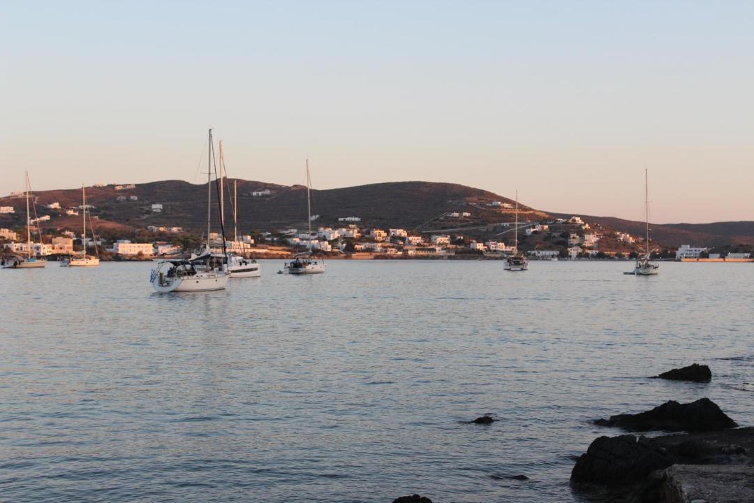 Photo of Others in Vissa