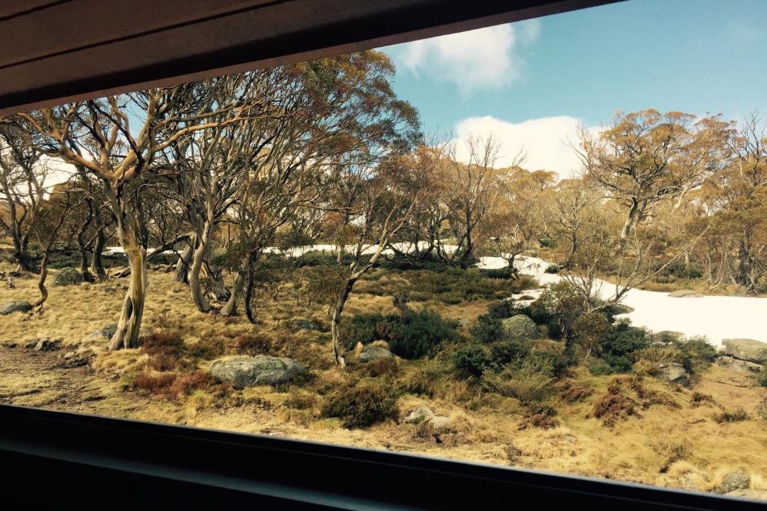 Photo of Others in Perisher Valley