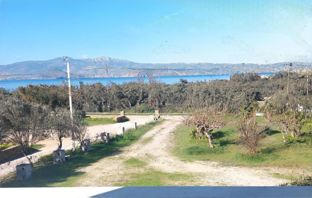 Photo of Others in Agia Anna