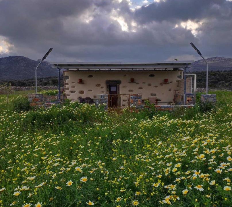 Photo of Others in Naxos
