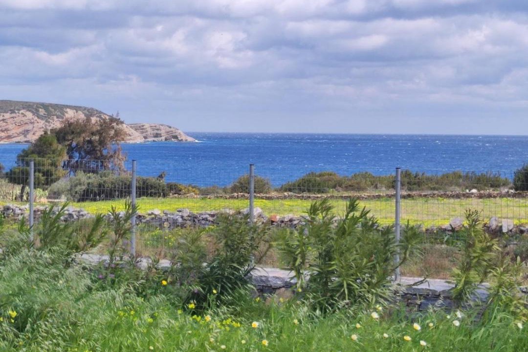 Photo of Others in Naxos