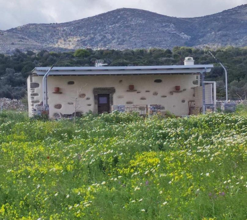 Photo of Others in Naxos