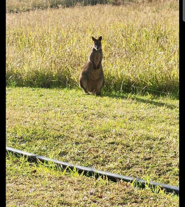 Photo of Others in Terrigal