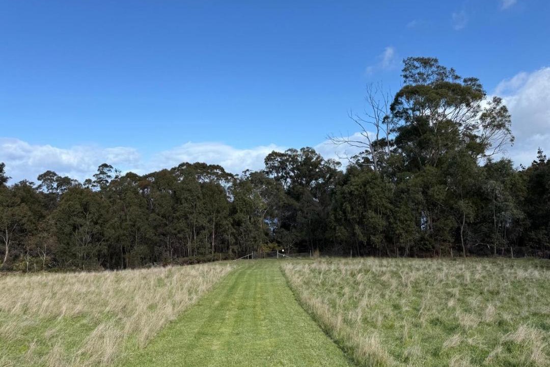 Photo of Outdoor in North Bruny