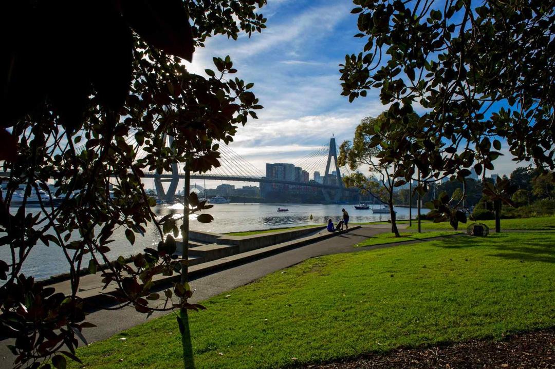 Photo of Others in Glebe