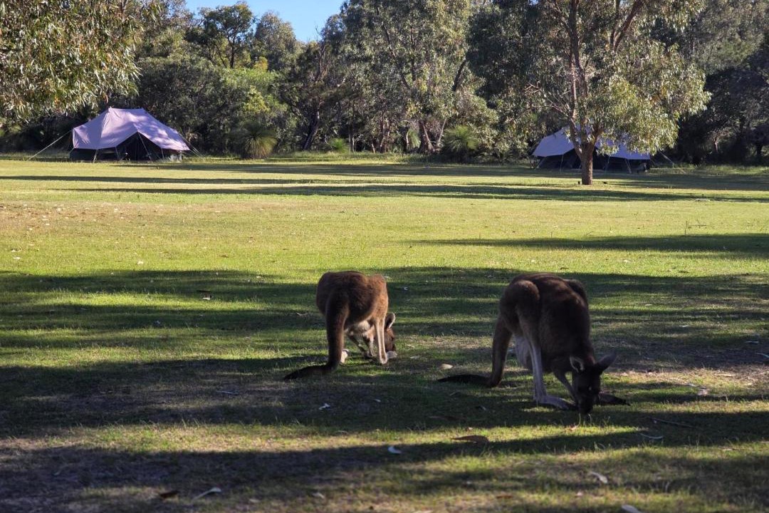 Photo of Others in Yanchep
