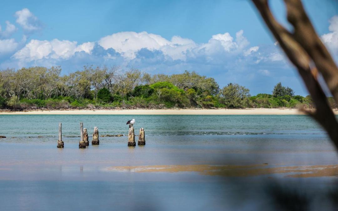 Photo of Others in Urunga