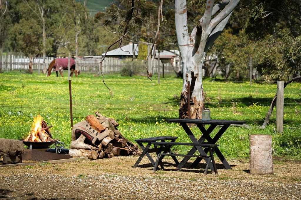 Photo of Others in Willunga South