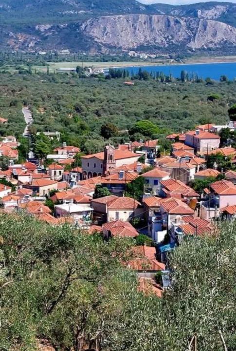 Photo of Others in Lesvos