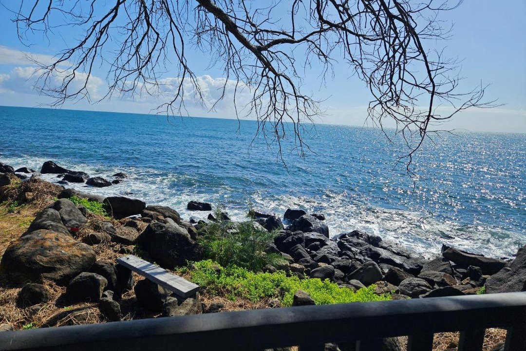Photo of Others in Bargara