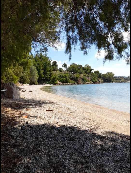 Photo of Others in Eretria
