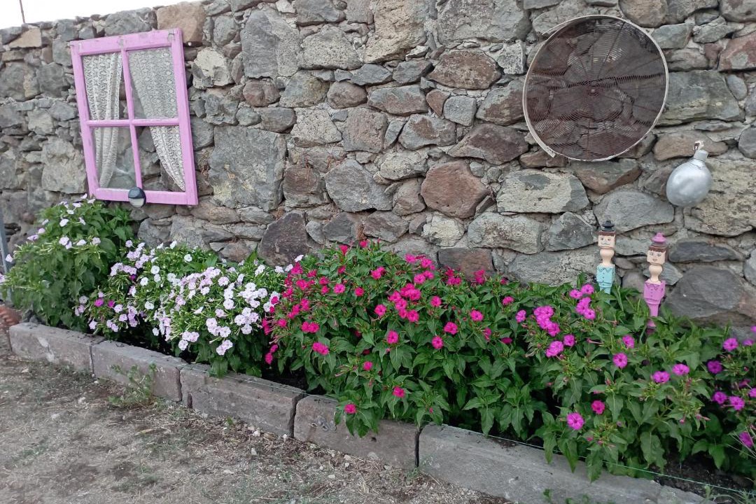 Photo of Others in Eresos-Antissa