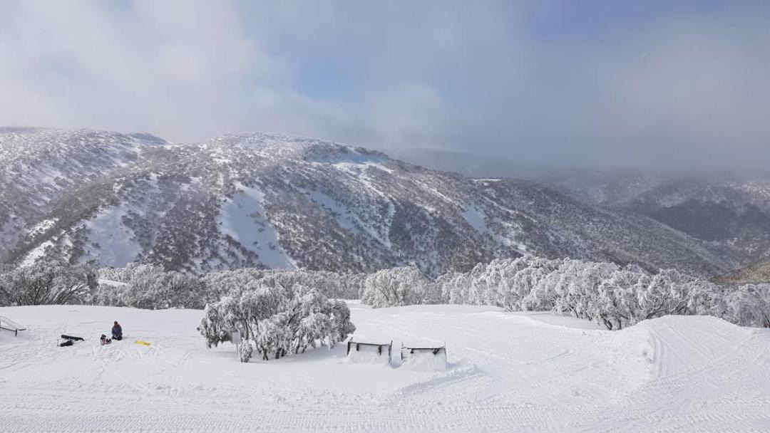 Photo of Others in Hotham Heights