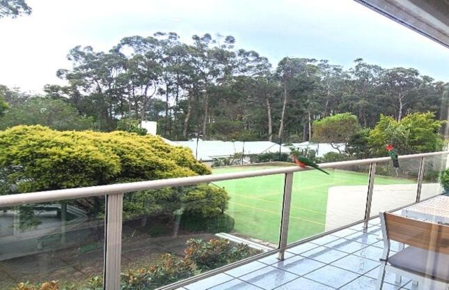 Photo of Patio Balcony in Surf Beach