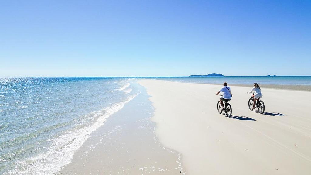 Photo of Others in Curtis Island