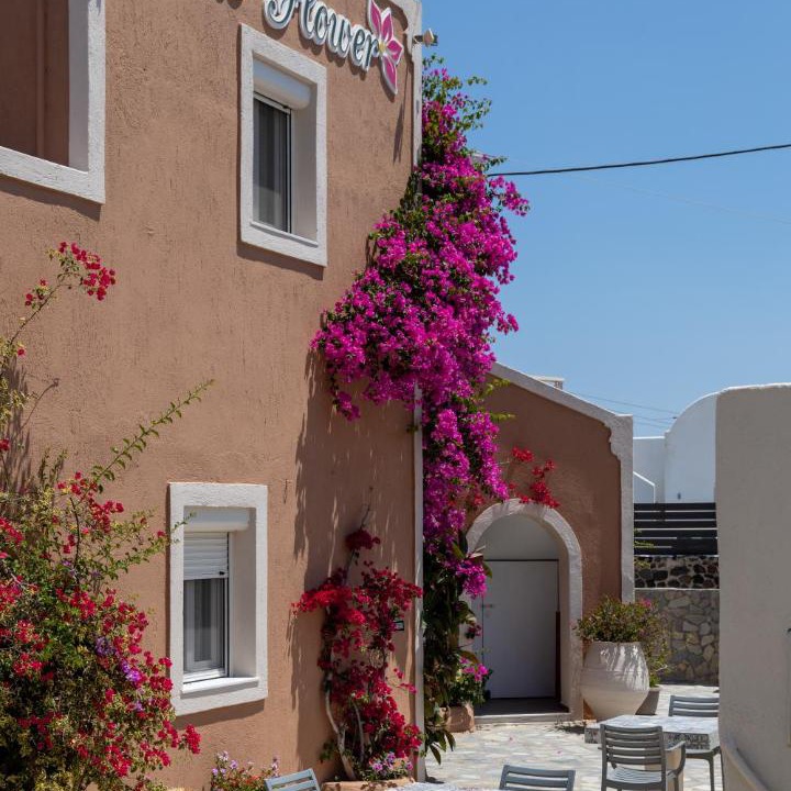 Photo of Others in Oia