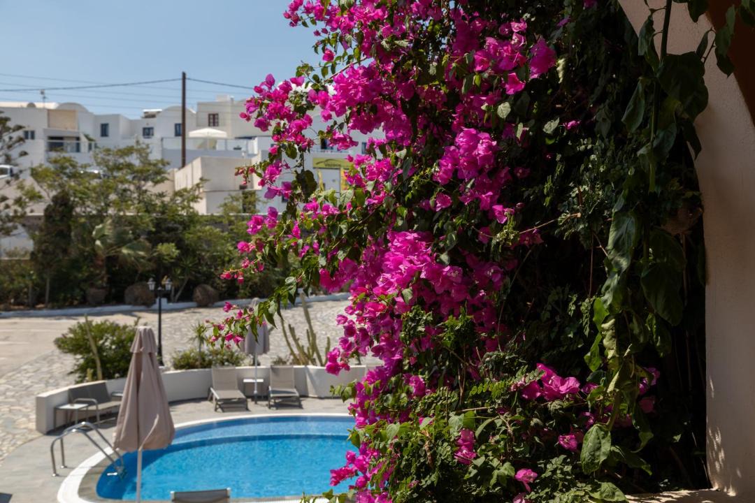 Photo of Others in Oia