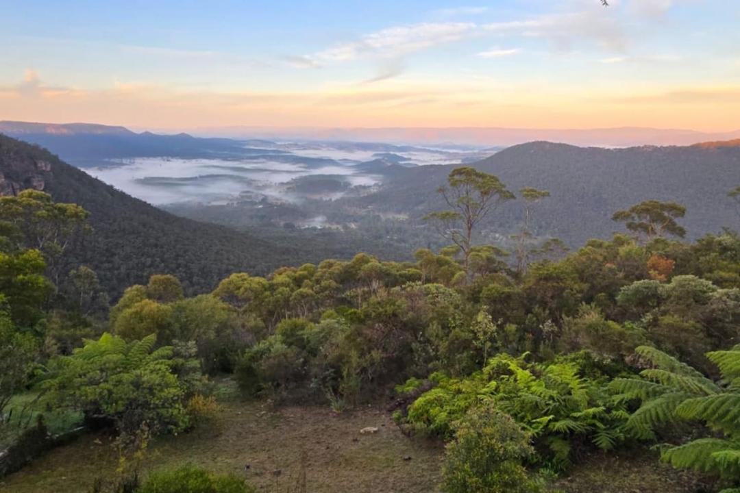 Photo of Others in Mount Victoria