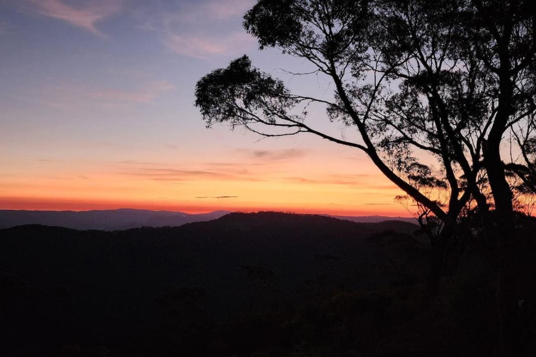 Photo of Others in Mount Victoria