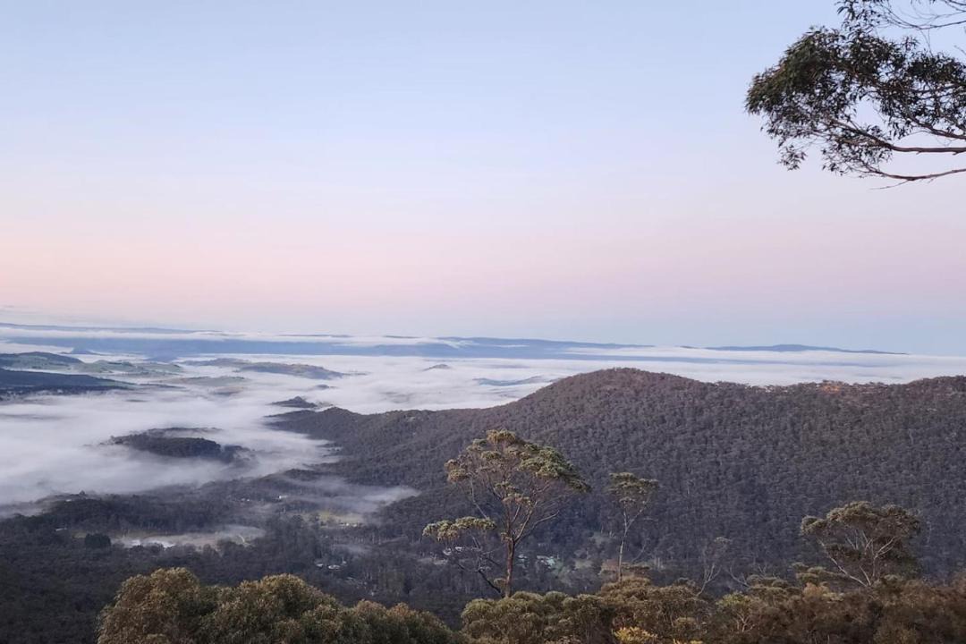 Photo of Others in Mount Victoria