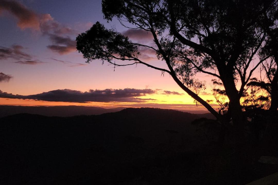 Photo of Others in Mount Victoria