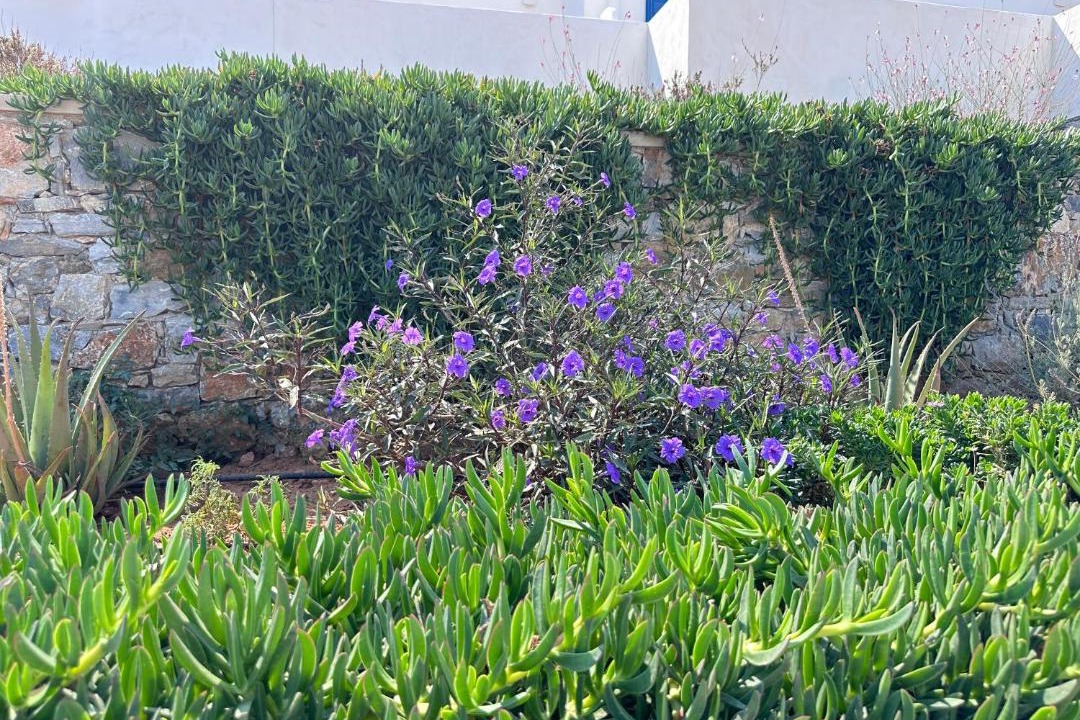 Photo of Others in Ag. Georgios