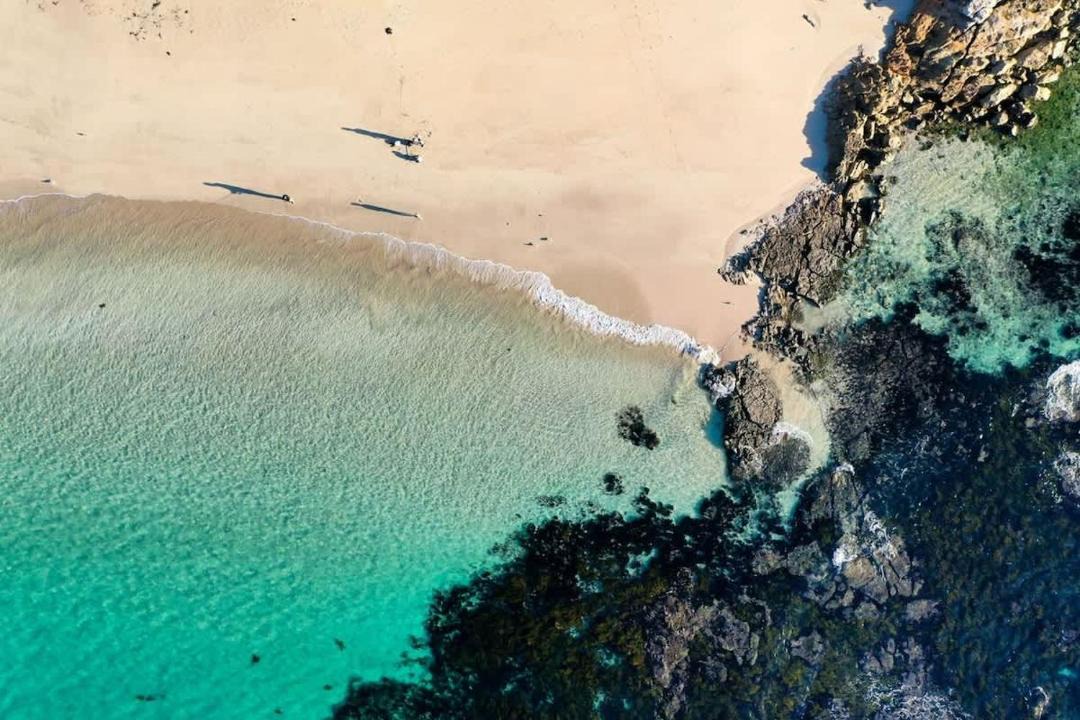 Photo of Human In Picture in Narrawallee