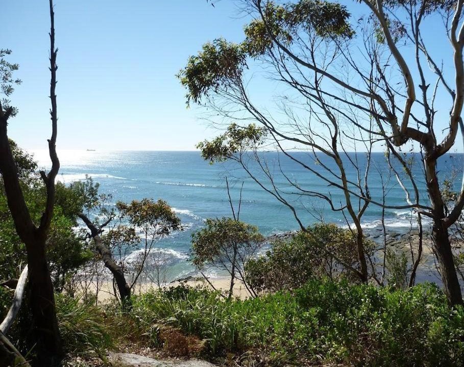 Photo of Others in Bateau Bay