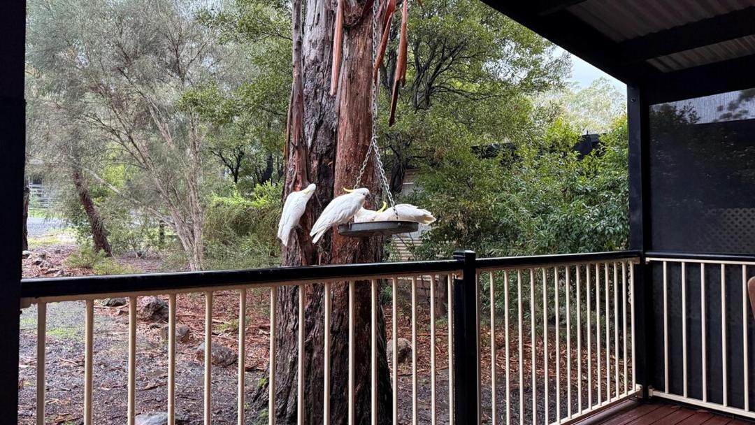 Photo of Others in Halls Gap