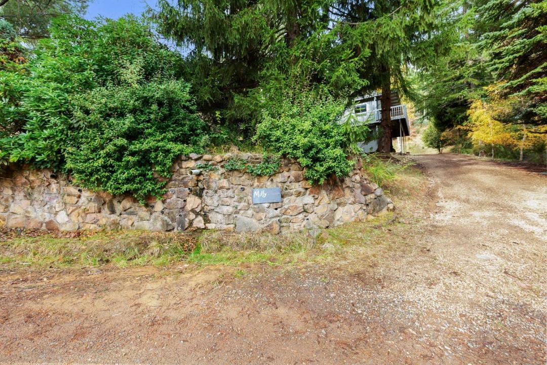 Photo of Others in Sawmill Settlement