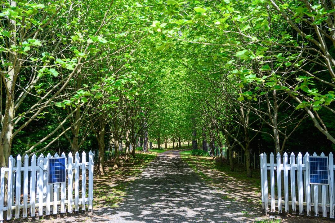 Photo of Outdoor in Bilpin