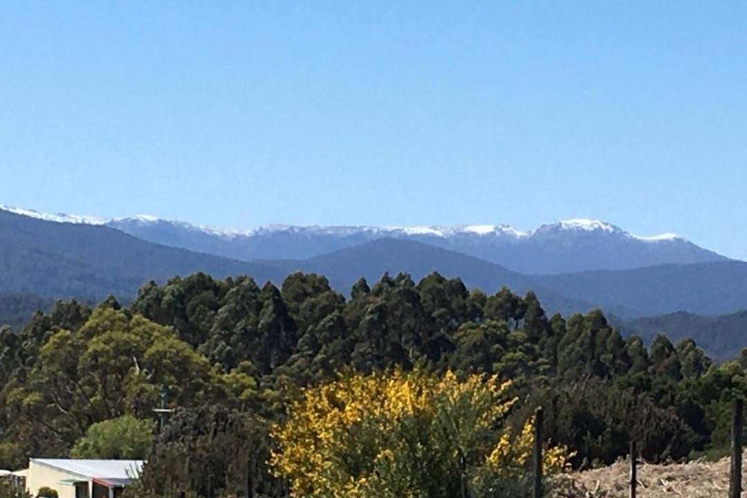 Photo of Others in Zeehan