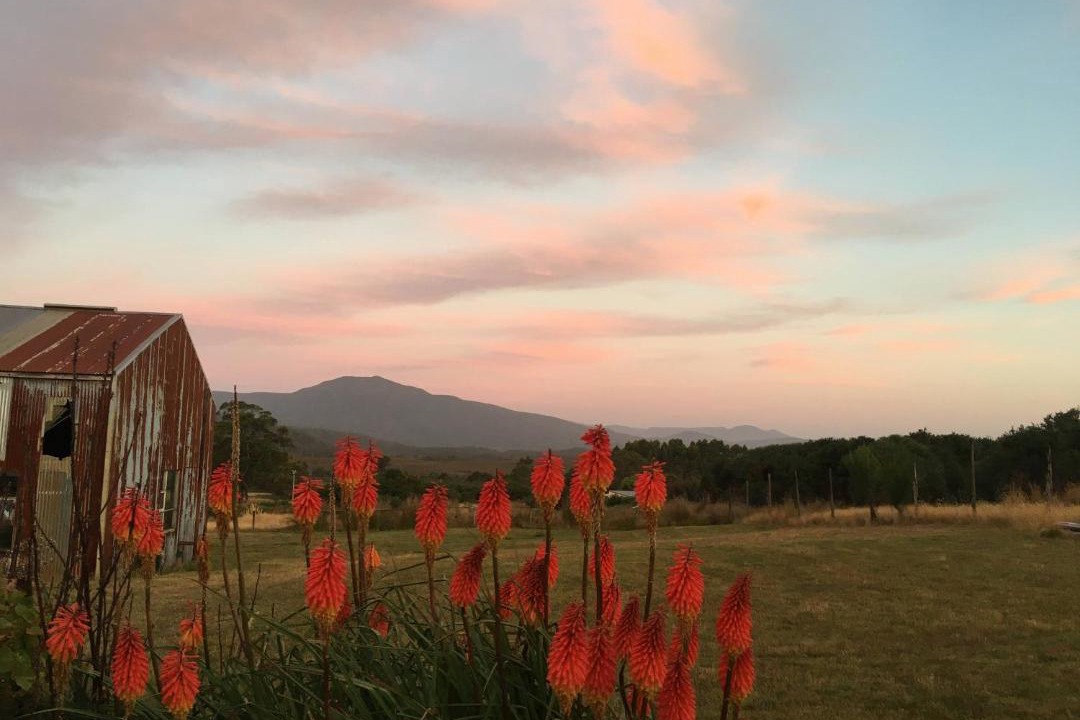 Photo of Others in Zeehan