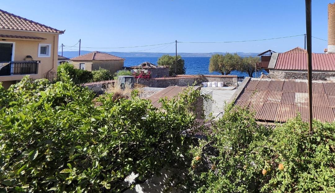 Photo of Others in Skala Sykamineas