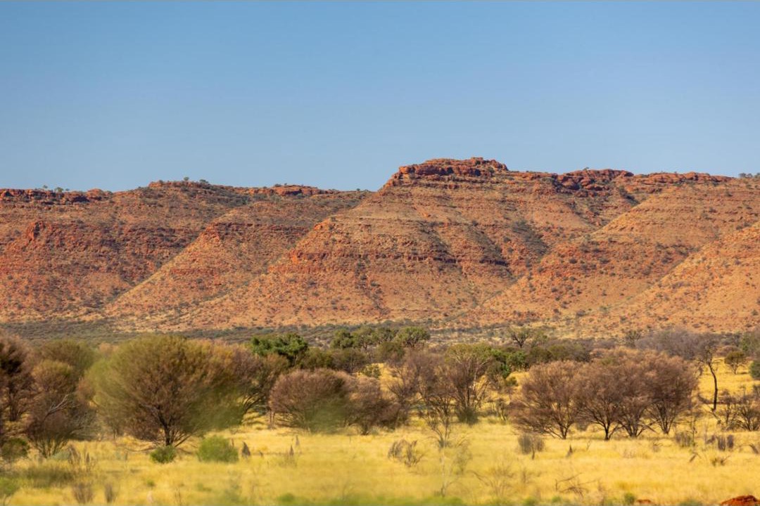 Photo of Others in Kings Canyon