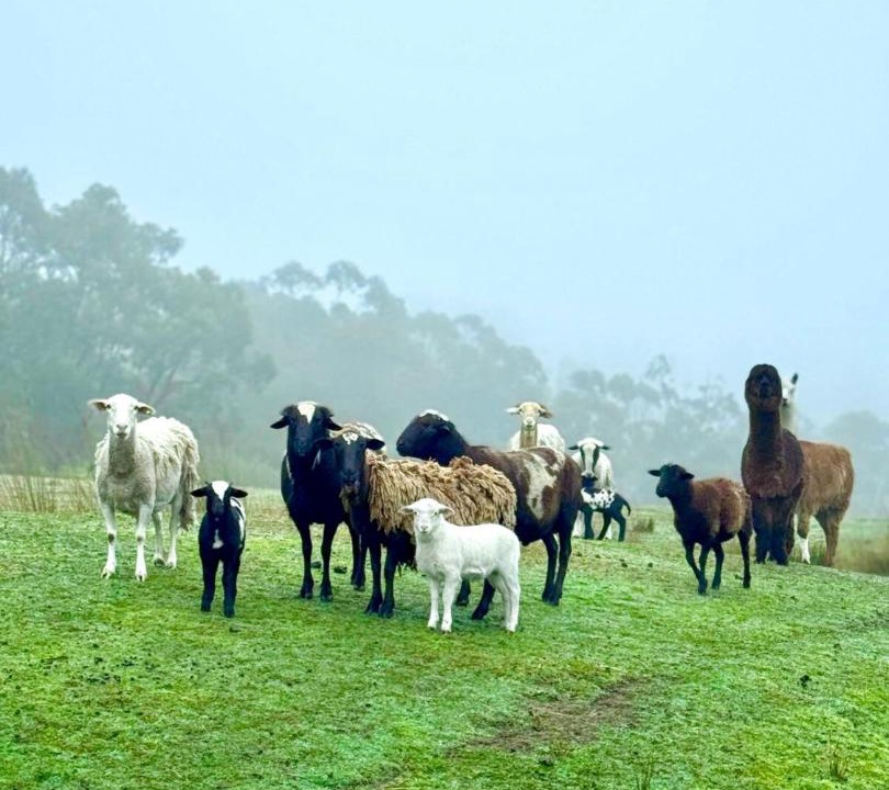 Photo of Others in Don Valley