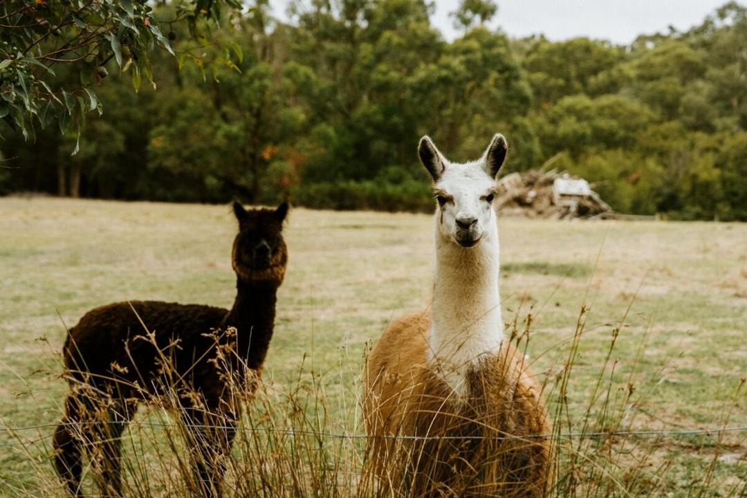 Photo of Others in Don Valley