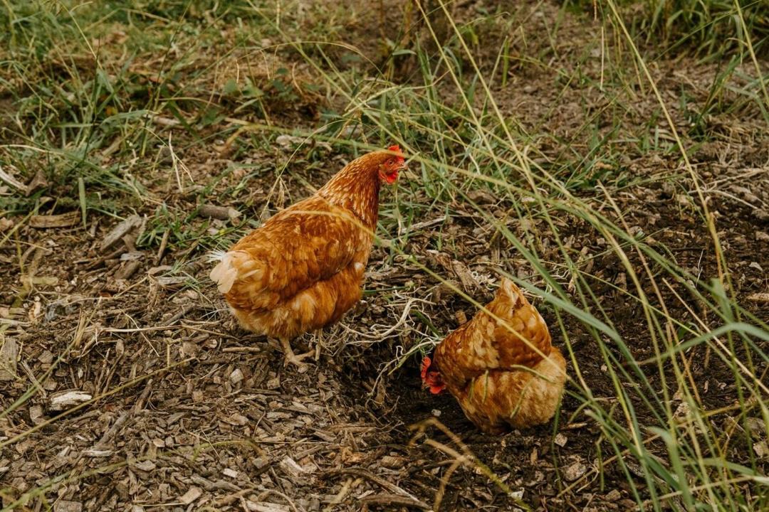 Photo of Others in Don Valley