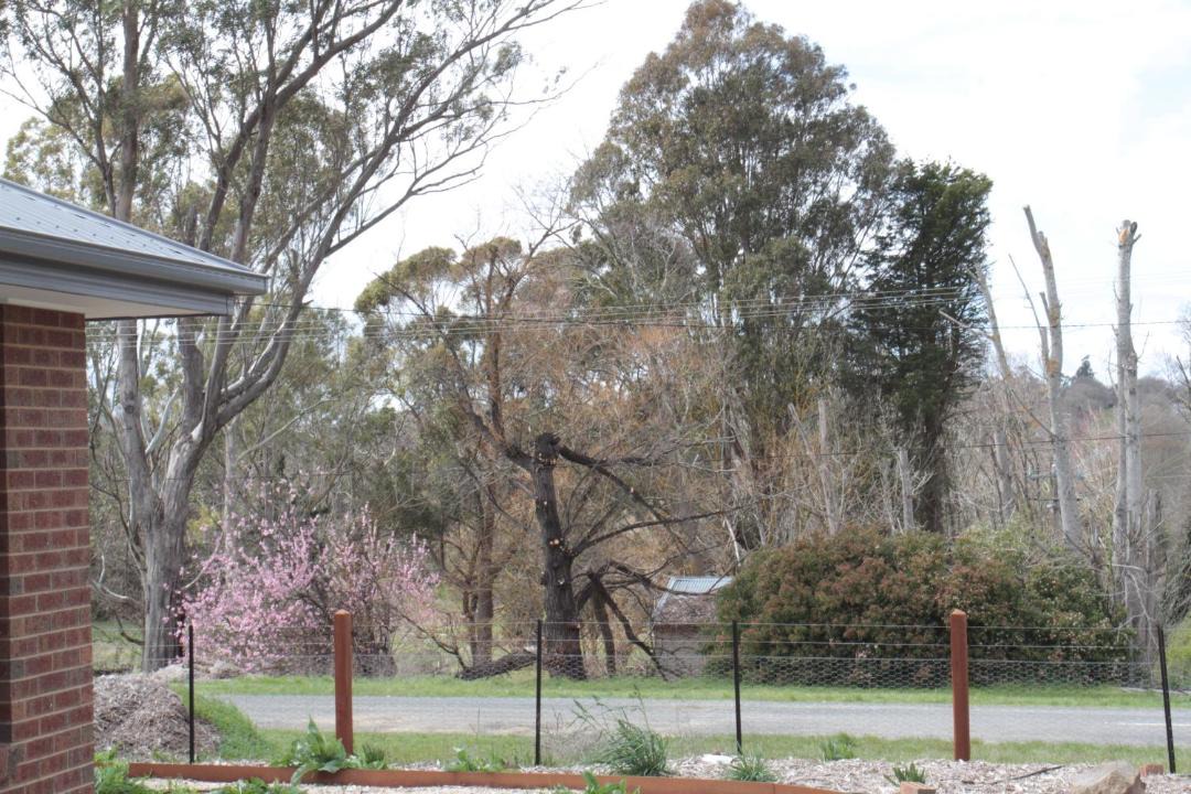 Photo of Others in Malmsbury