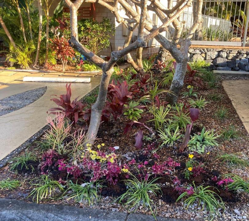 Photo of Outdoor in Korora