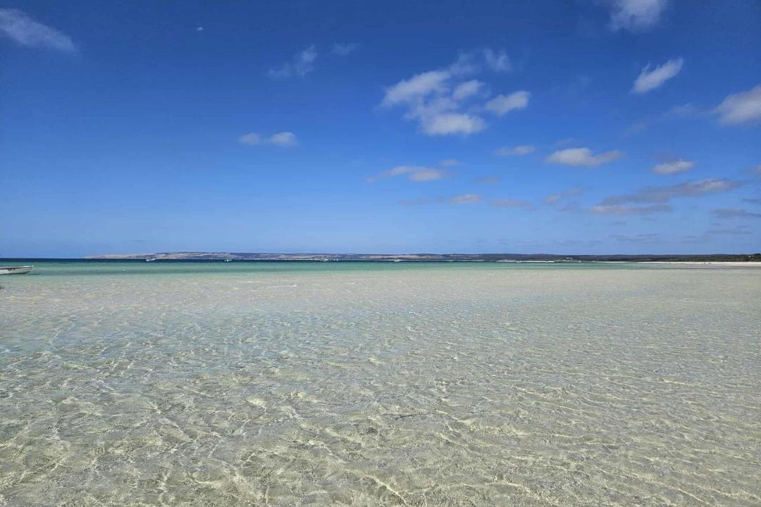 Photo of Others in Island Beach