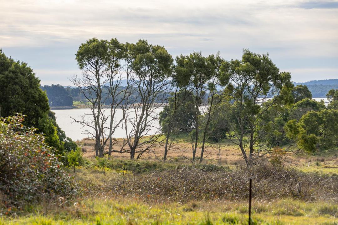 Photo of Others in Burrawang
