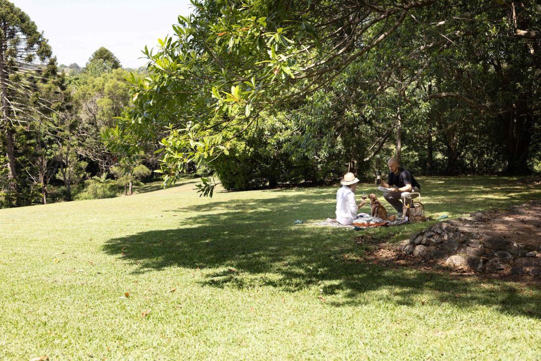 Photo of Outdoor in North Maleny