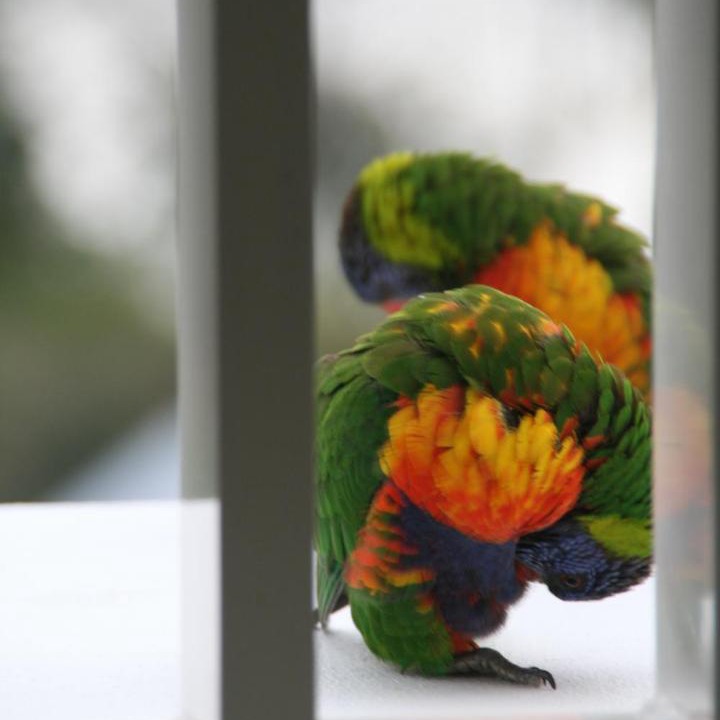 Photo of Others in Botany